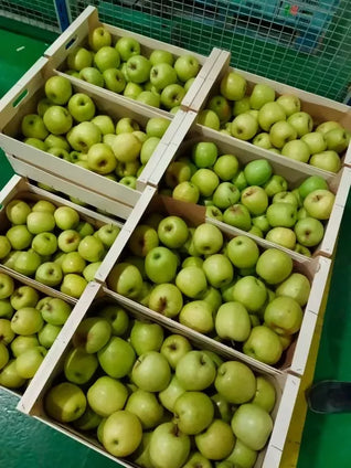 Green Apple South Africa Wholesales 1kg. تفاح أخضر جنوب أفريقيا كامل 1 كجم