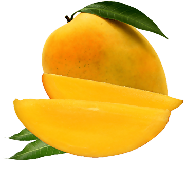 mango1