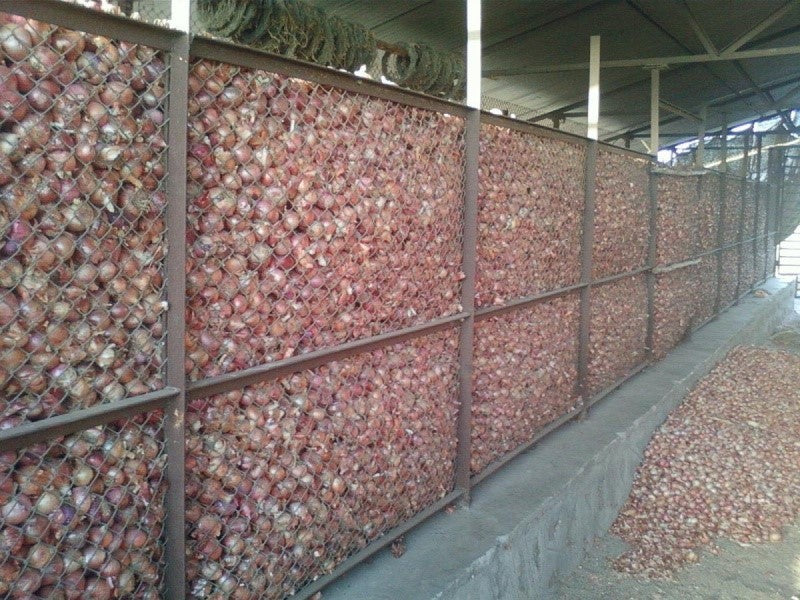 Fresh Red Onion from Iran per kilogram