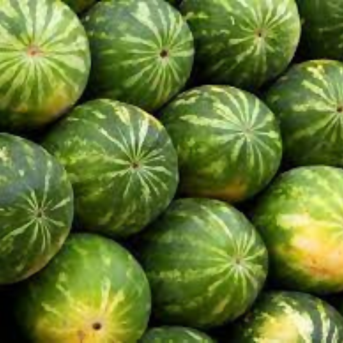 watermelon4
