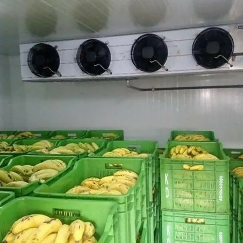 banana5