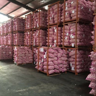 Garlic From China Wholesales 1kg. ثوم صيني بالجملة 1 كيلو