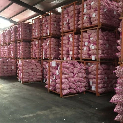 Garlic From China Wholesales 1kg. ثوم صيني بالجملة 1 كيلو
