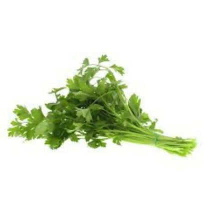 Fresh Parsley (Bakdounees) Wholesales 1kg. بقدونس طازج بالجملة 1 كجم Fresh Parsley (Bakdounees) Wholesales 1kg. بقدونس طازج بالجملة 1 كجم