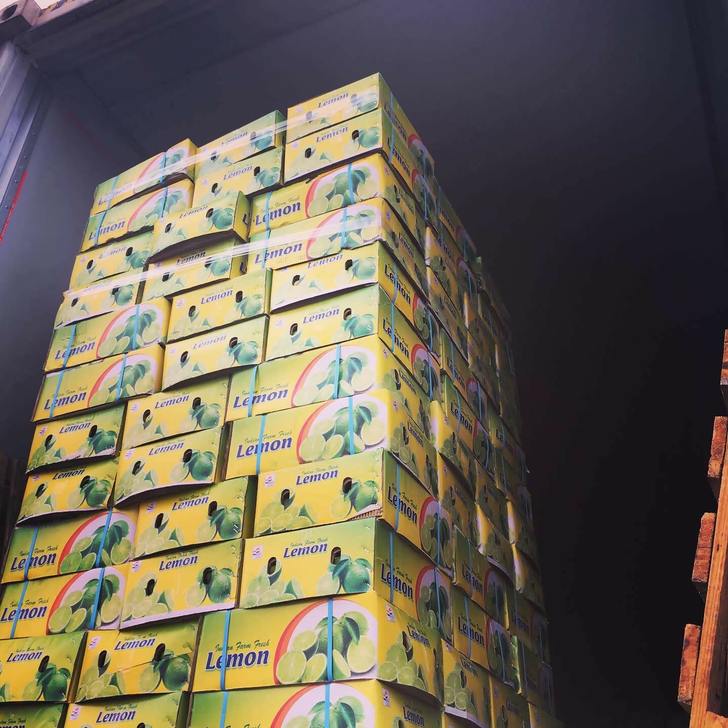 limeindia