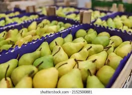 pear