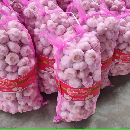garlic1