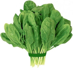 51srUMqmH5L._AC_UF1000,1000_QL80_