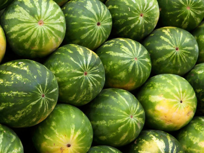 watermel3