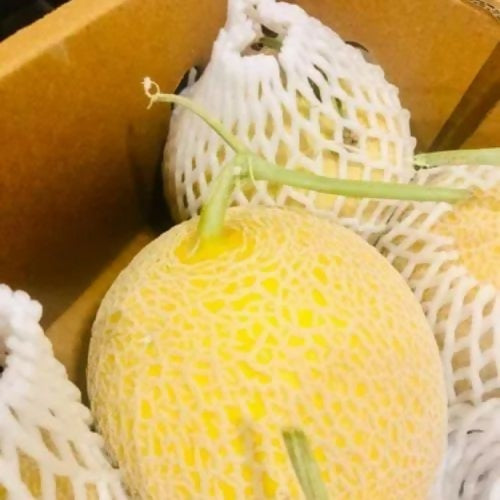 sweetmelon1