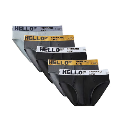 5-piece Men's Briefs Summer, Men's Underwear