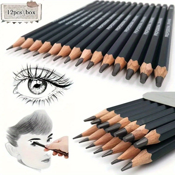 Professional Pen Set for Artists Students and Hobbyists 2H to 8B  12 Piece