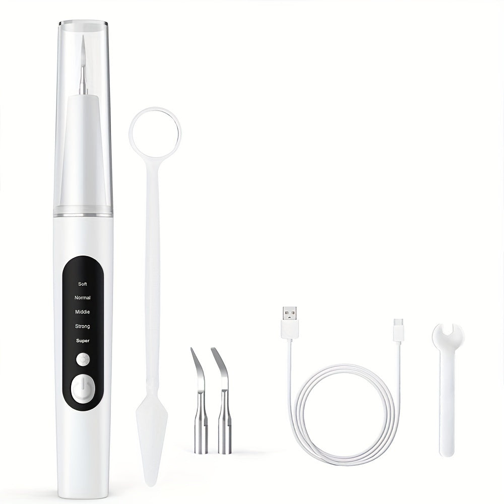 LED Rechargeable Teeth Scaler Kit for Oral Hygiene - 4 Replaceable Heads, Type-C Charging