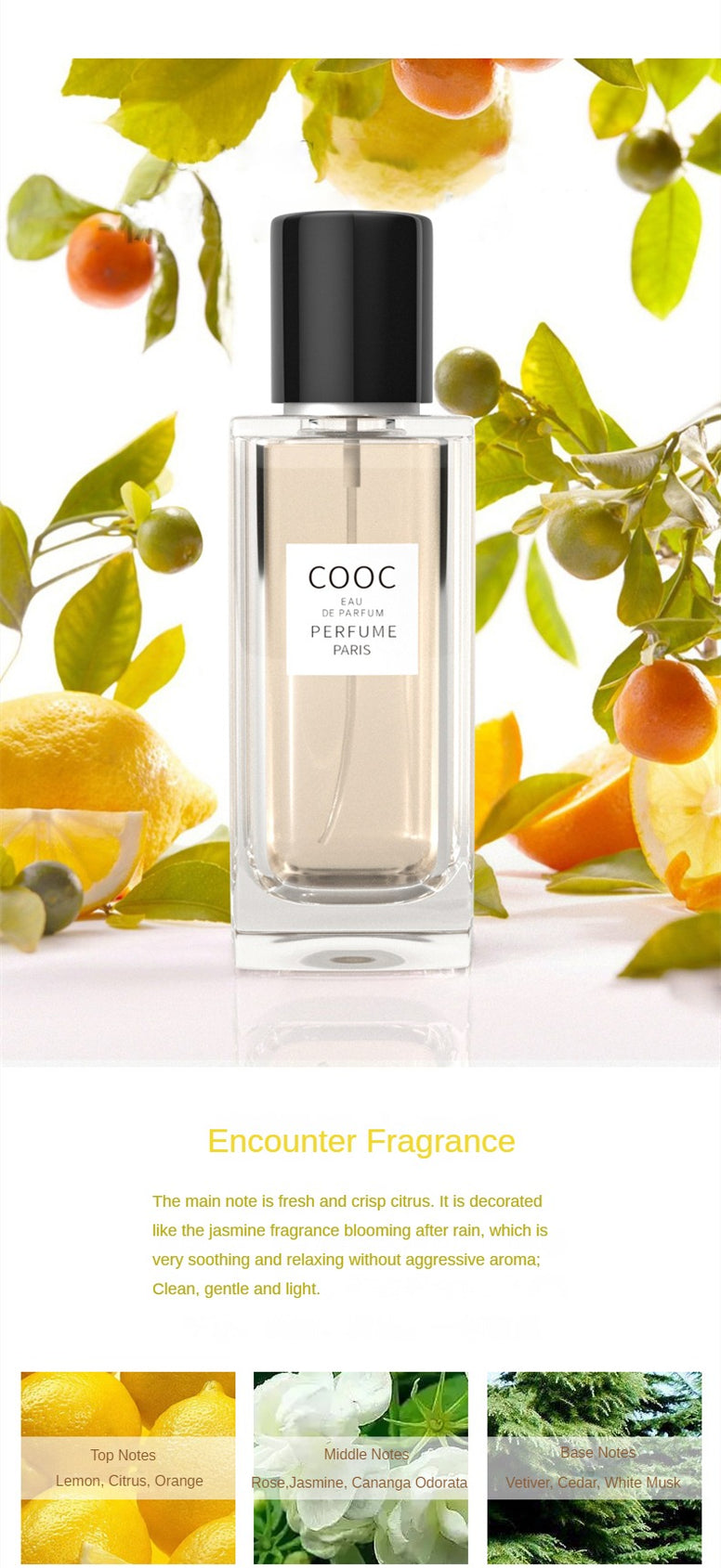 عطر COOC برائحة طويلة الأمد النساء 50 مل عطر الليل الحلو لعشاق العطور عطر النساء عطر بابانغو عطر أصلي طويل الأمد هدية للفتيات والنساء