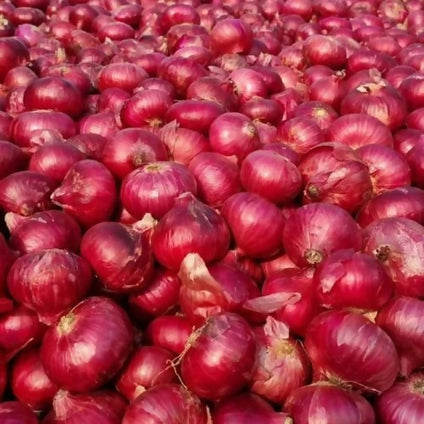 Fresh Red Onion from Iran per kilogram (Minimum of 10kg)