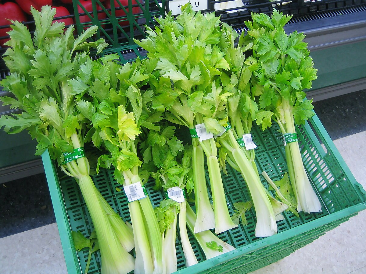 celery2