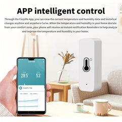 Thermometer: Remote App-Controlled Indoor