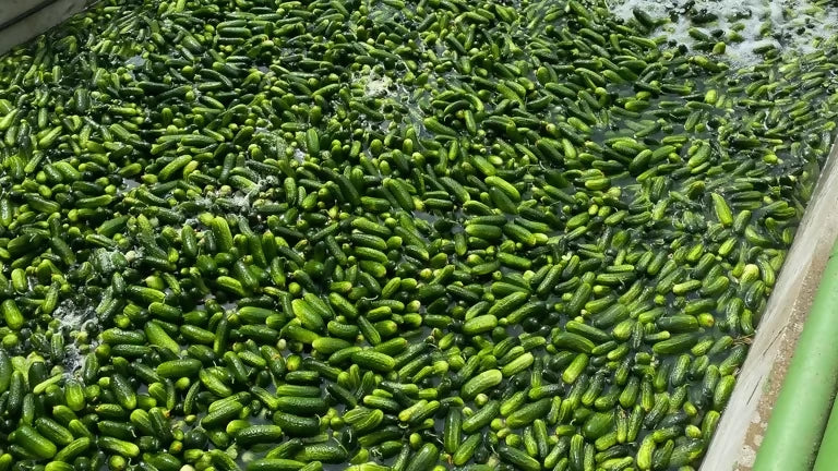 cucumberfare