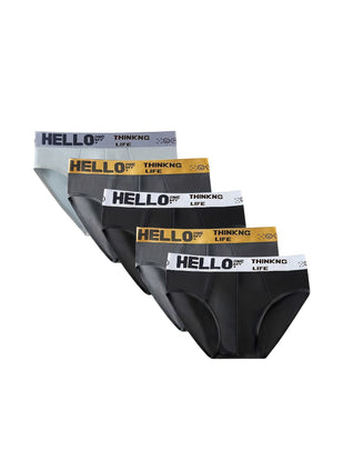 5-piece Men's Briefs Summer, Men's Underwear