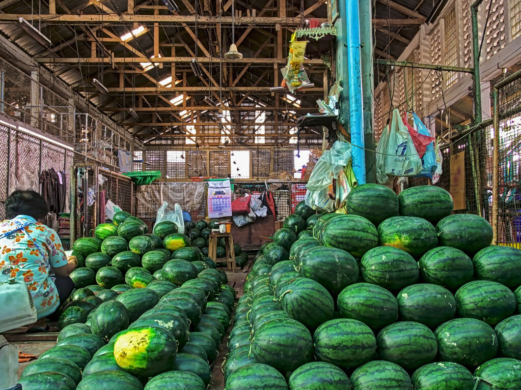 watermelwarehouse