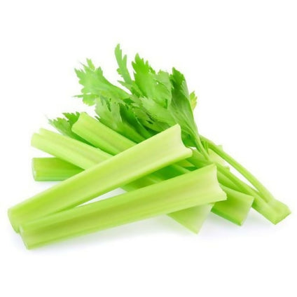 Best Selling Fresh Celery at Wholesales Price Per kg