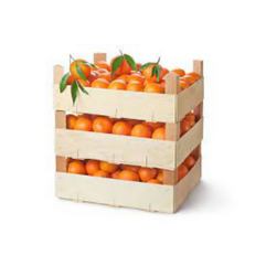 orangehead