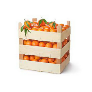Best Selling Orange from Spain in Wholesales Price for 40pcs Per Carton