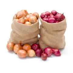 onionnewbag