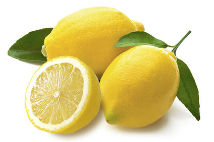 Fresh Lemon fruit is available in large qauntities
