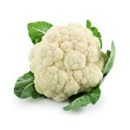 Best Selling Cauli Flower at Wholesales Price Per Kg