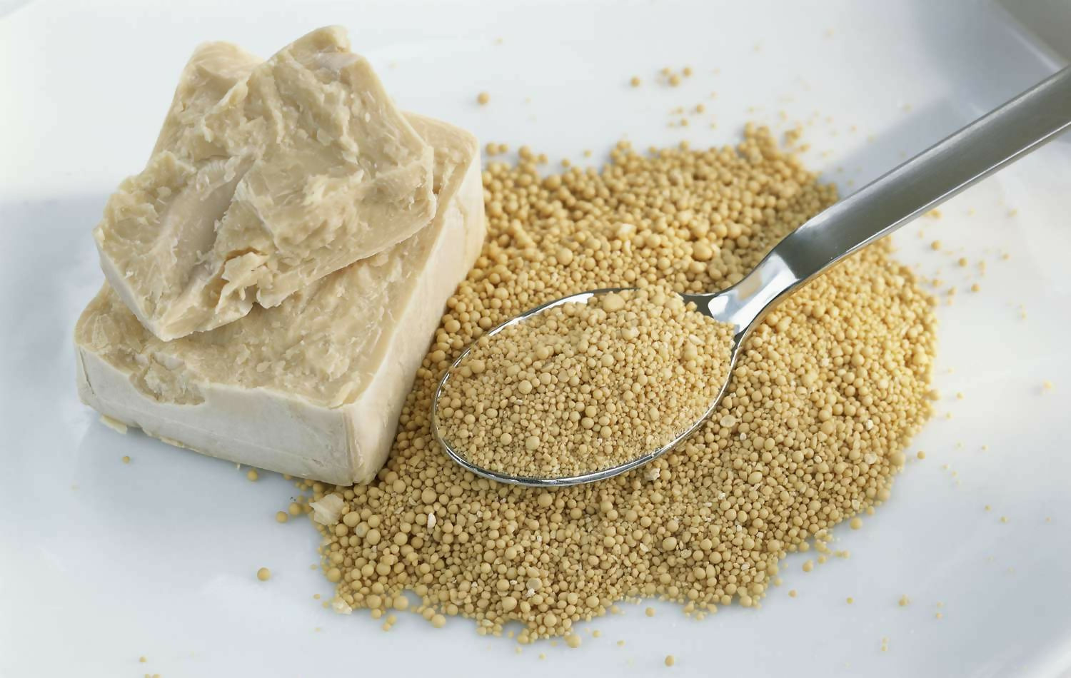 Freshanddriedyeast-GettyImages-126372759-59286bbd3df78cbe7ea02b40