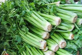 celery4