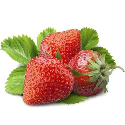 Best Selling Fresh Strawberry at Wholesales Price Per kg