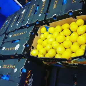 lemonsa
