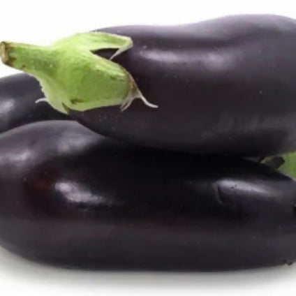 Fresh Egg Plant wholesales available at affordable price