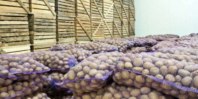 potatowarehouse2