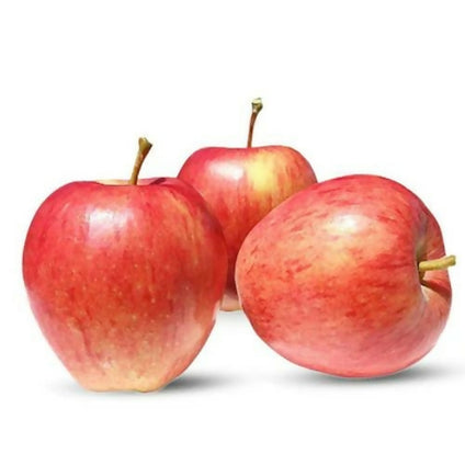 Best Selling Apple Pink Lady at Wholesales Price Per Kg