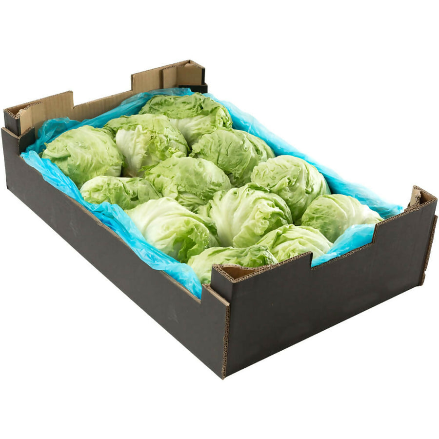iceberge9