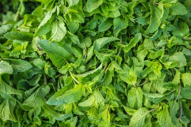 mint5