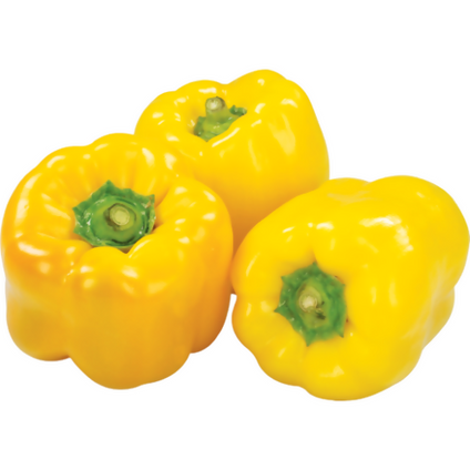 Fresh Yellow Capsicum Pepper at wholesales price