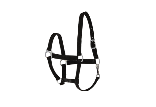 Tough 1 Economy Halter