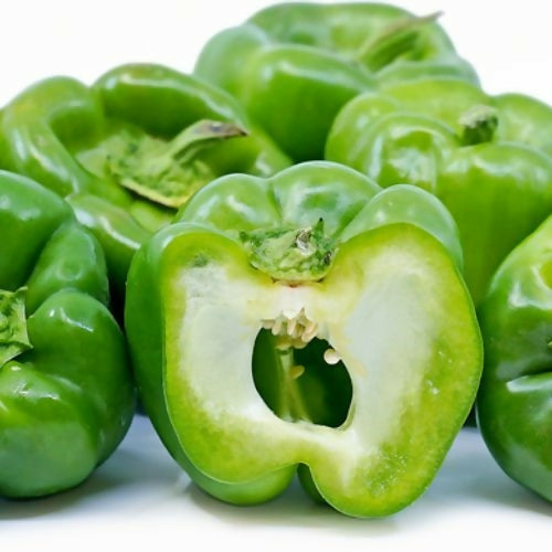 capsicum4