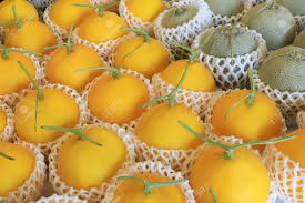 cantaloupe8