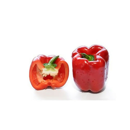 Fresh Capsicum Red Pepper wholesales