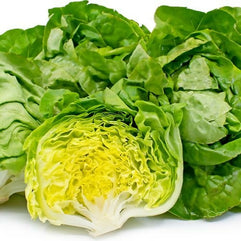 lettuce1