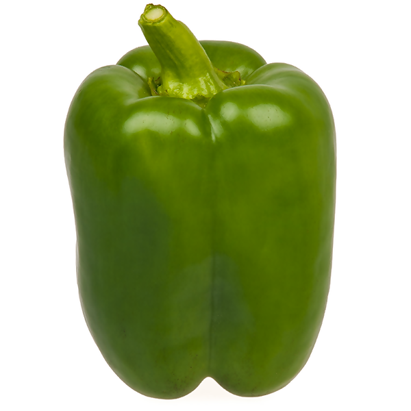 capsicum3