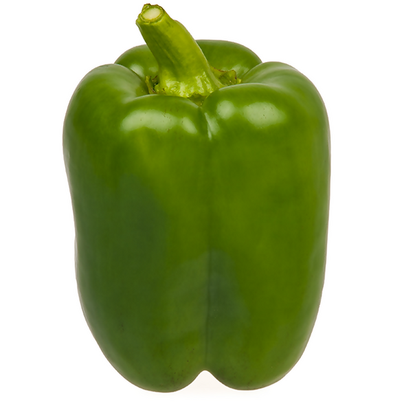 capsicum3