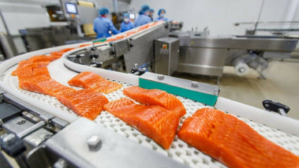 Fresh Organic Salmon 300grms