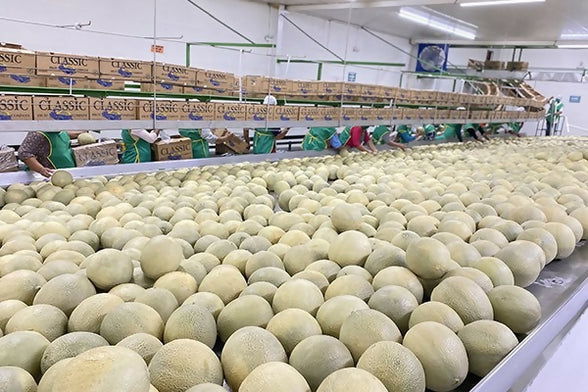 cantaloupwarehouse