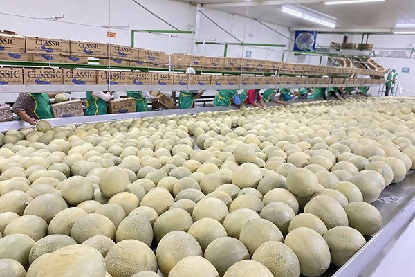 cantaloupwarehouse